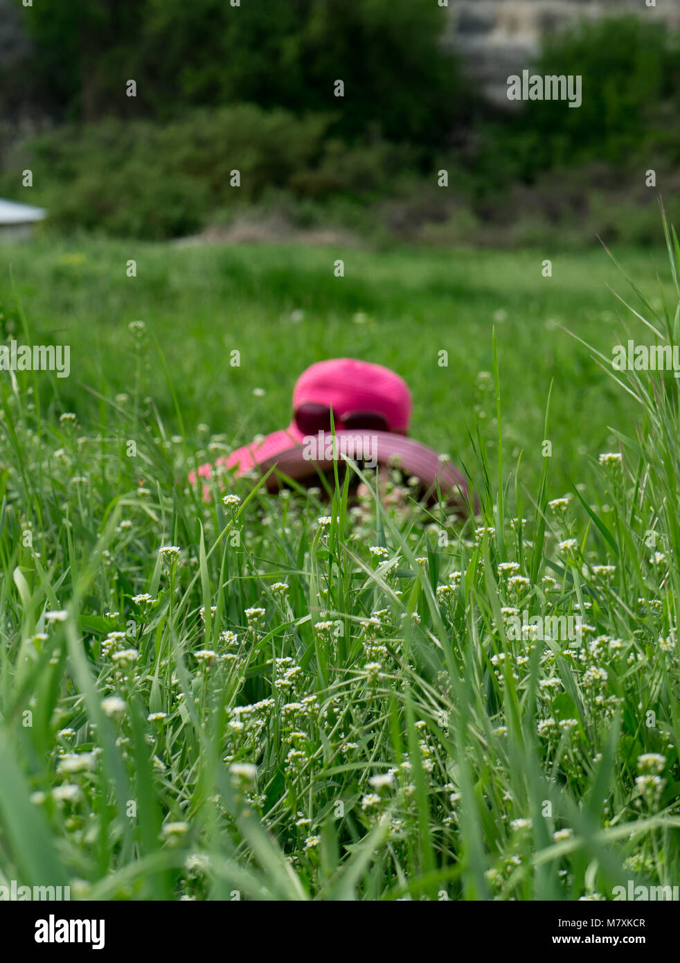 girl hiding in grass Stock Photo