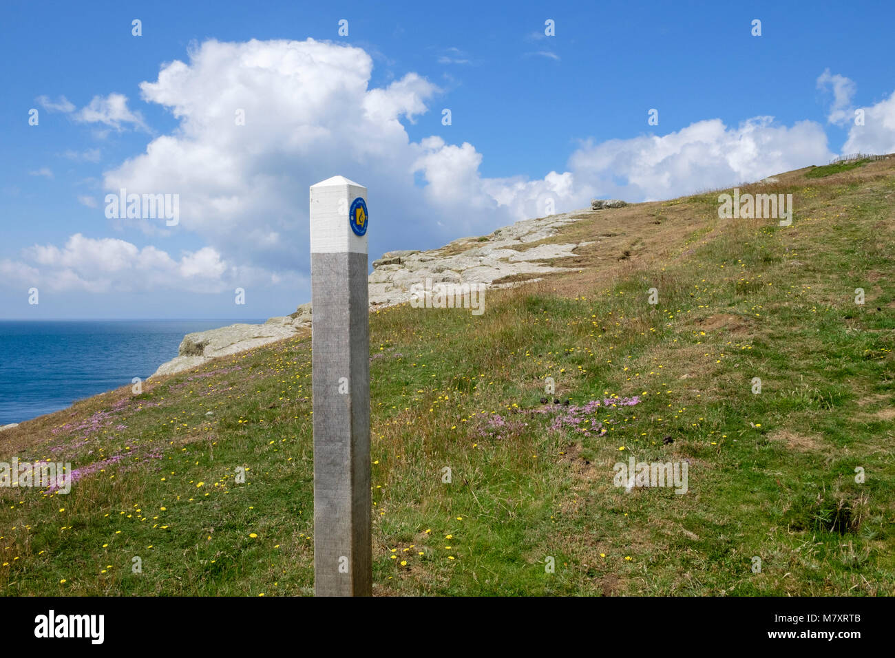 Wales Coast Path sign and logo on waymarker on Llyn Peninsula near Mygydd Cilan or Porth Ceiriad in summer. Abersoch Gwynedd Wales UK Stock Photo