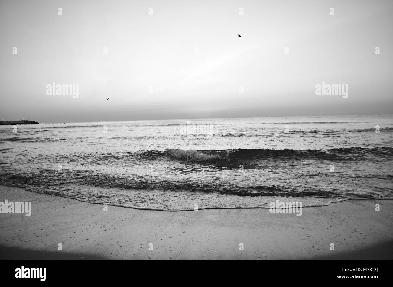 Black and white seascape Stock Photo - Alamy