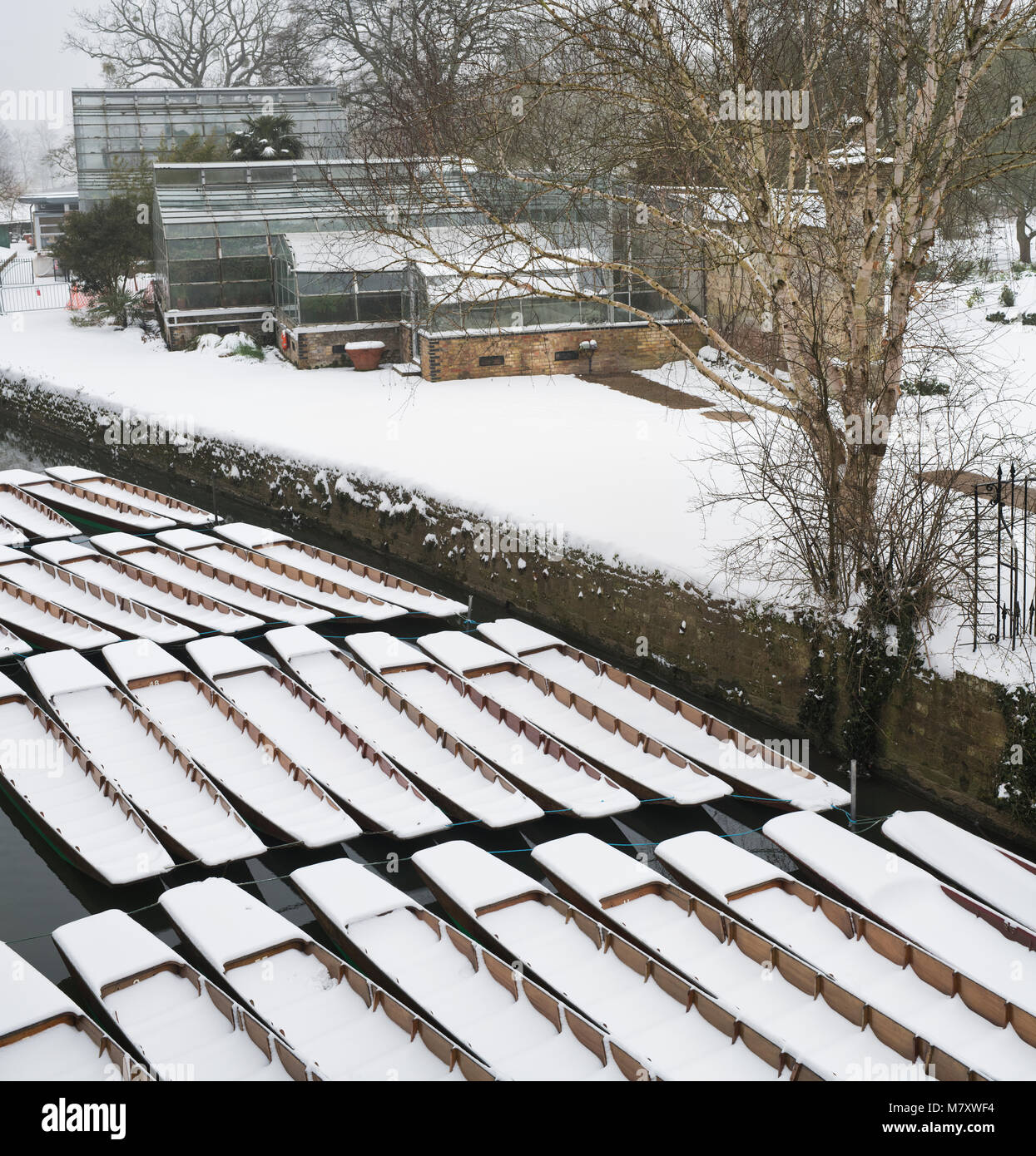 Punts covered in snow on the River Cherwell next to Magdalen bridge in the early morning. Oxford, Oxfordshire, England Stock Photo