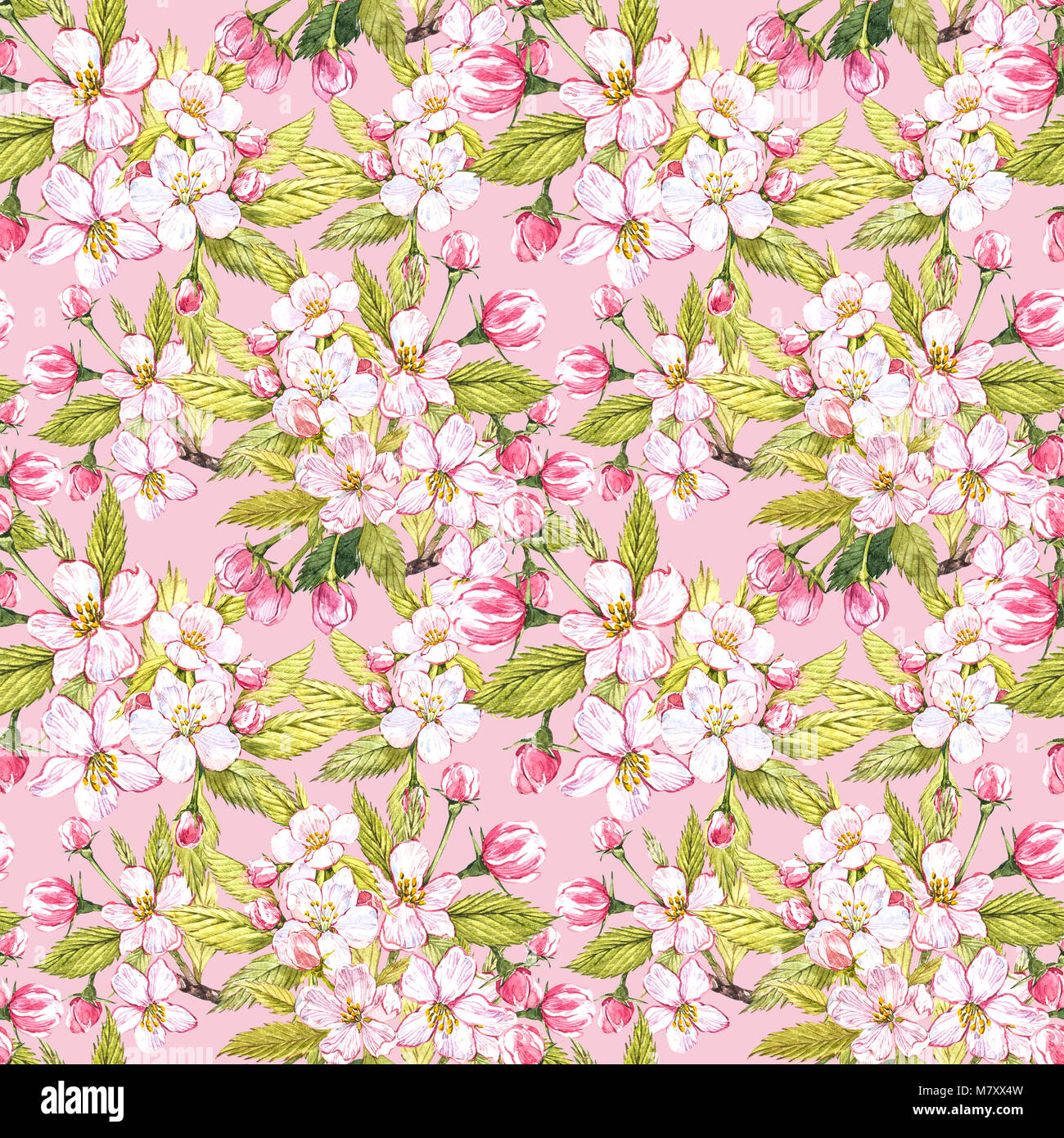 Apple flowers hand drawn seamless pattern watercolor illustration Stock ...