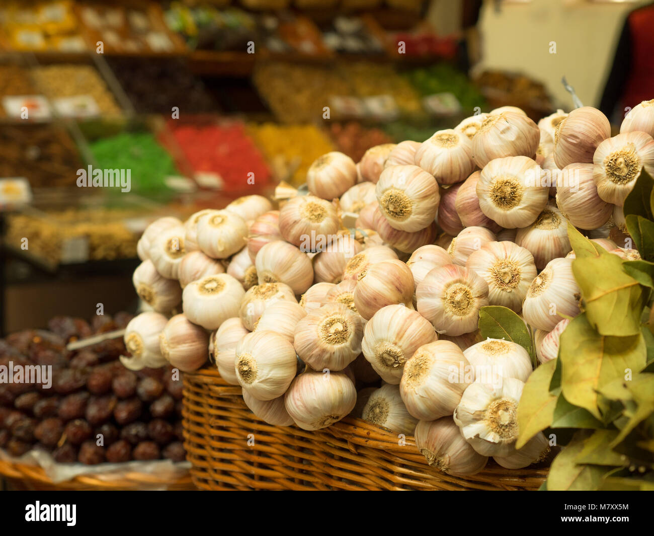 Allium sativum garlic clove hi-res stock photography and images - Alamy