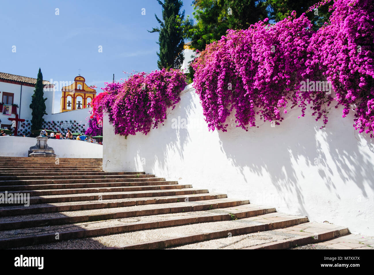 Cordoba Andalusia Spain Bougainvillea Flowers Along The - 