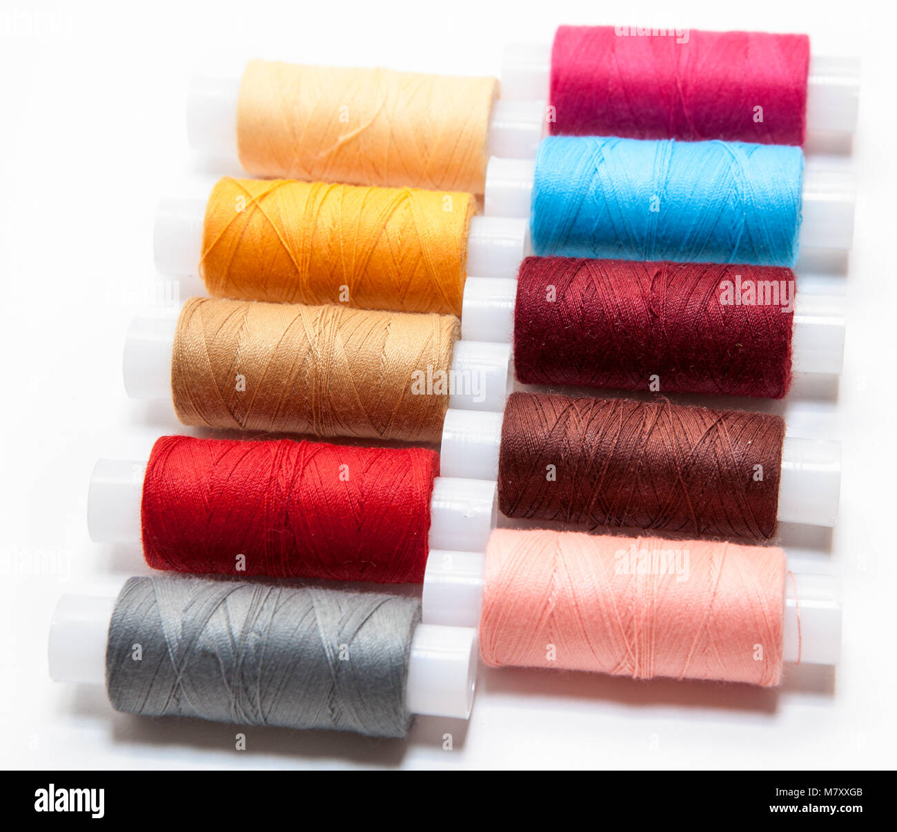 Arranged in lines multicolor sewing threads on a white background Stock Photo