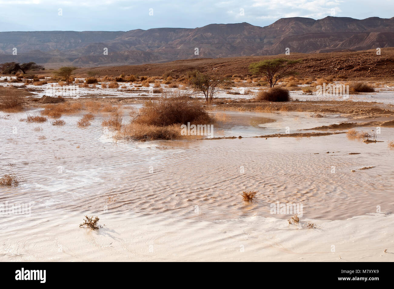 Sahara Flash Flood
