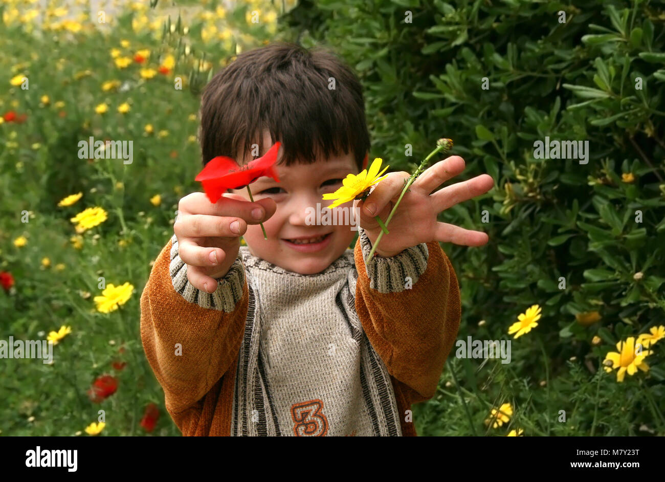 Little boy holding a red poppy and a yellow daisy in a Spring green ...
