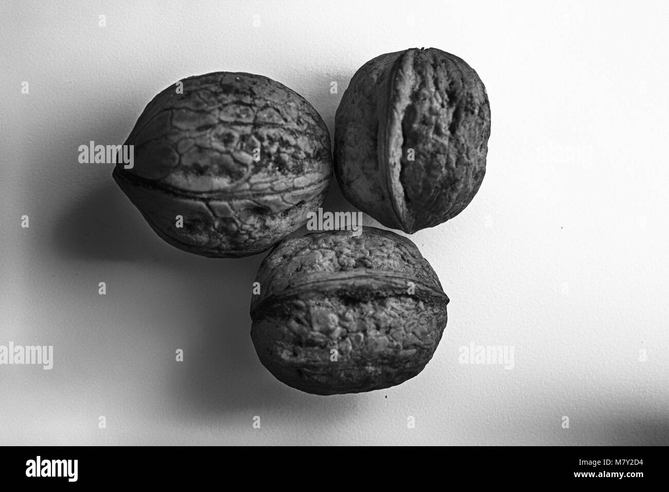Three monochrome isolated walnut on a white background. Stock Photo