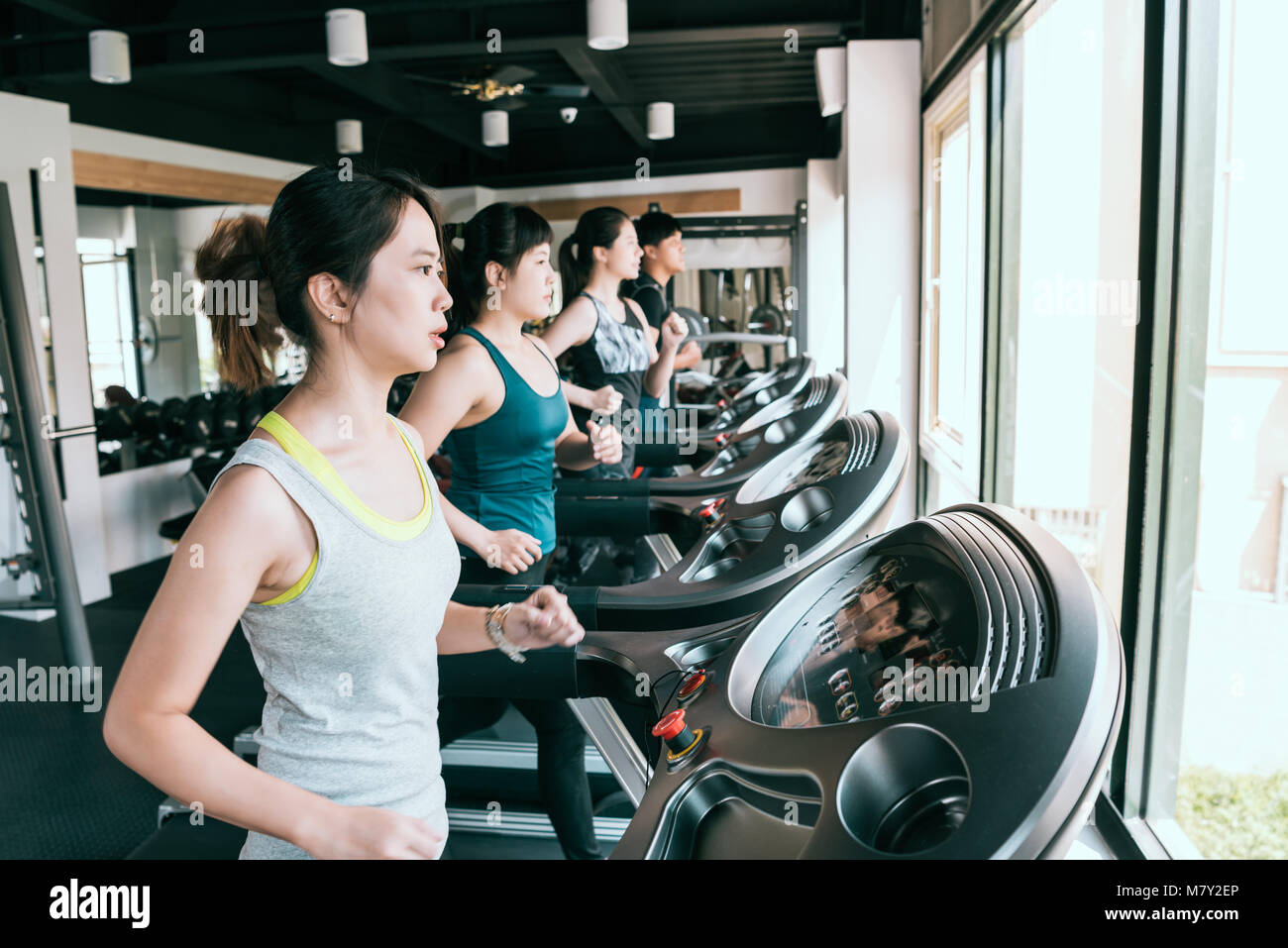 group of women and a man running on treadmill in fitness club, exercising to lose weight and gain more fitness. Stock Photo