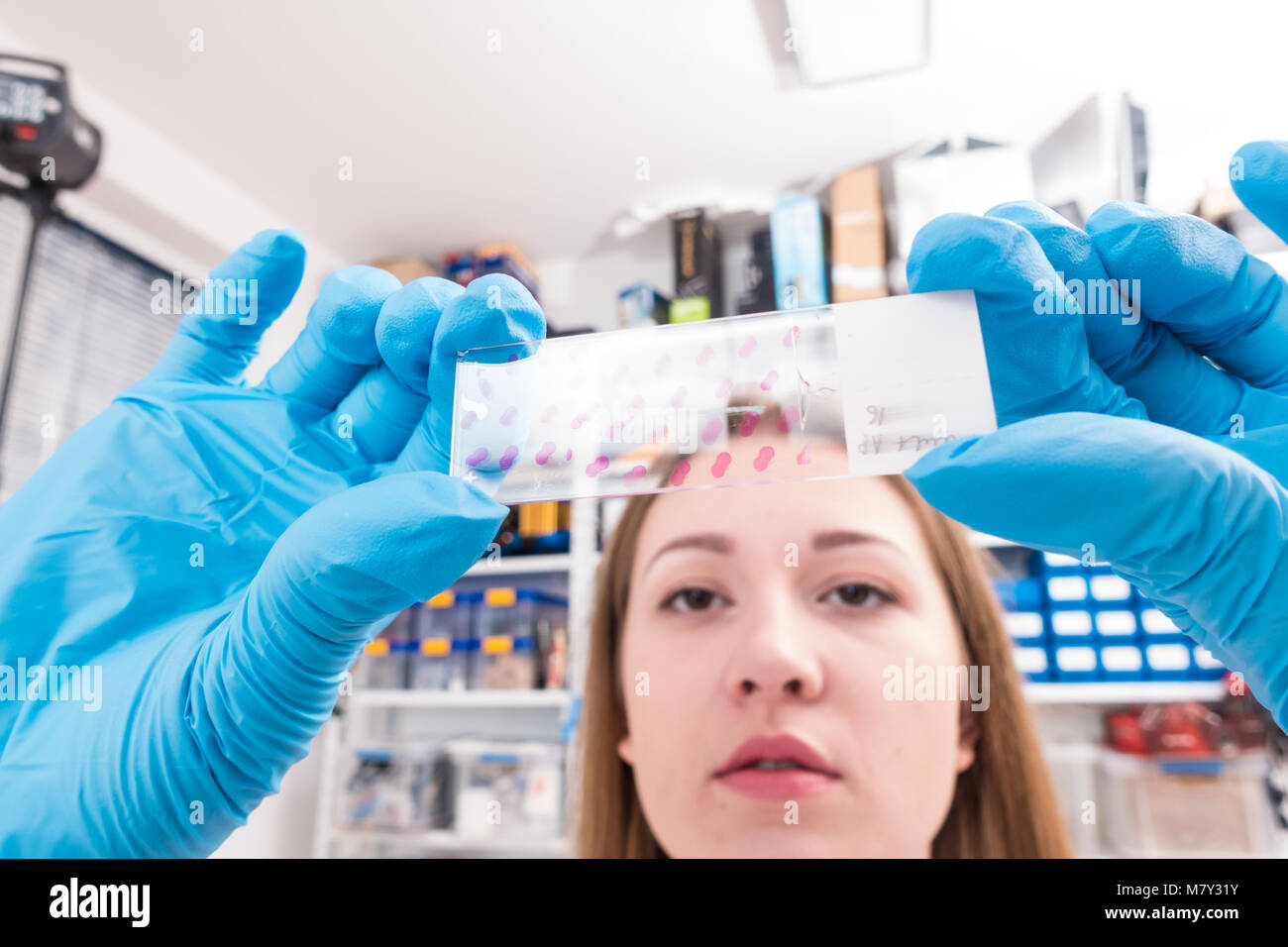 Materials research lab hi-res stock photography and images - Alamy