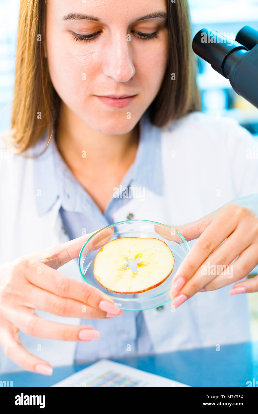 Checking fruit and vegetables for harmful elements. Laboratory for