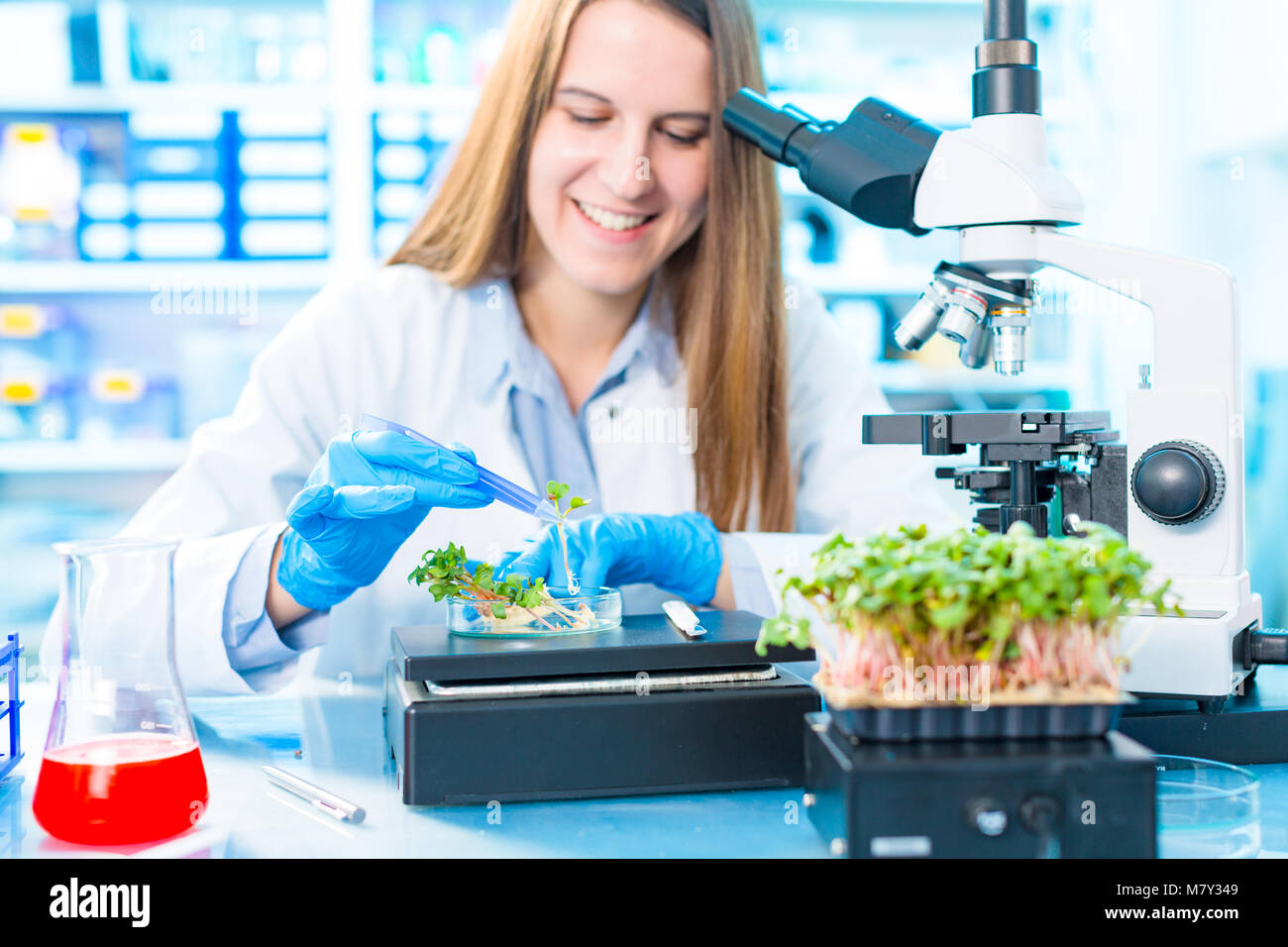 Research of photosynthesis of green plants. Food quality control of