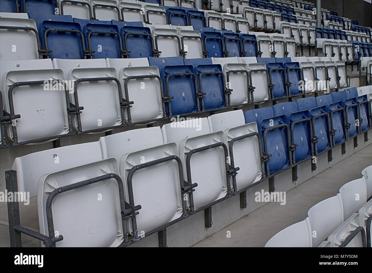 Empty stadium showing rows of blue and white coloured empty seats. Stock Photo