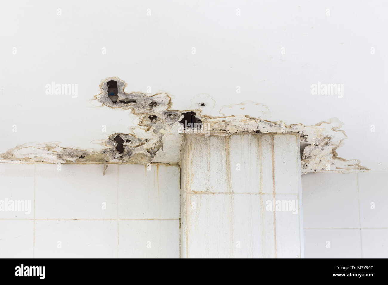 White Ceiling Inside The Building Get Damaged Showing Moisture And