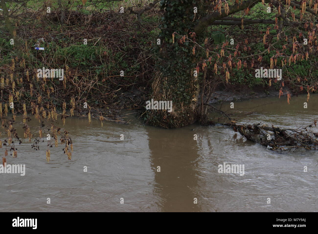 River Ryton Level Worksop Ryton High Resolution Stock Photography and Images - Alamy