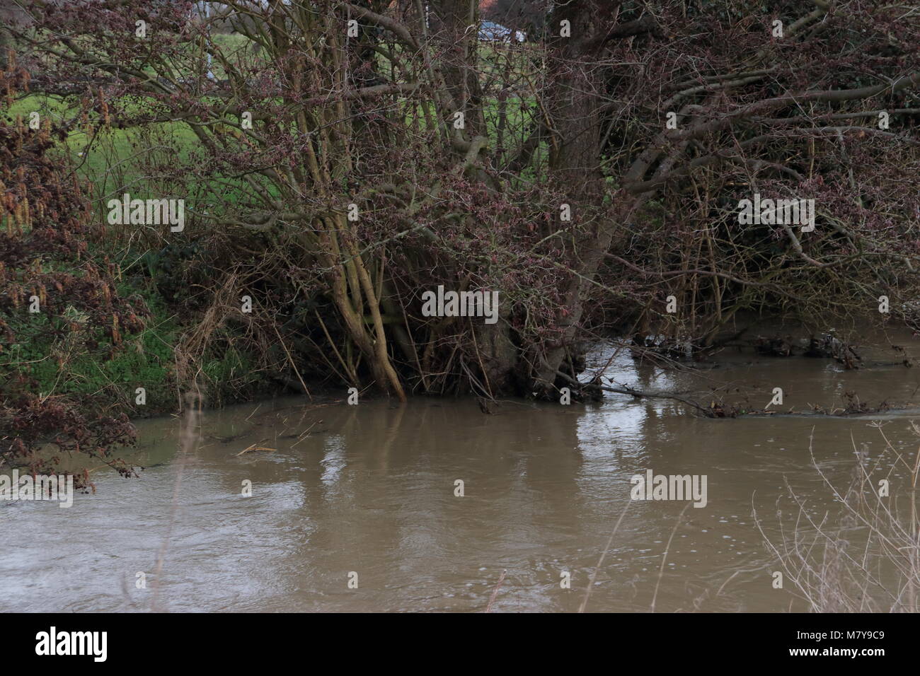 river ryton in Worksop, Notts, UK Stock Photo