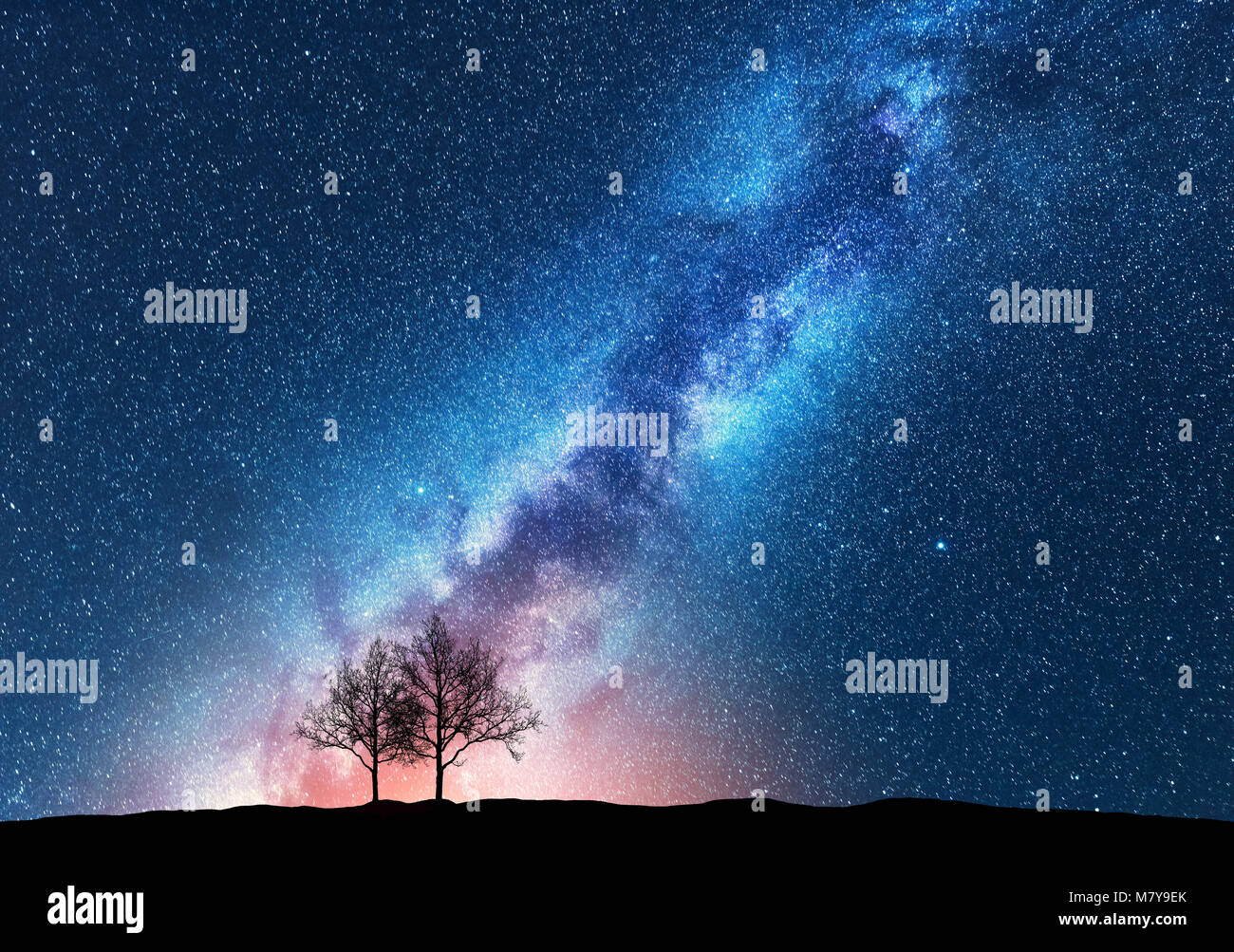 Trees against starry sky with Milky Way. Space background. Night landscape with alone trees on the hill and colorful bright milky way. Amazing galaxy. Stock Photo