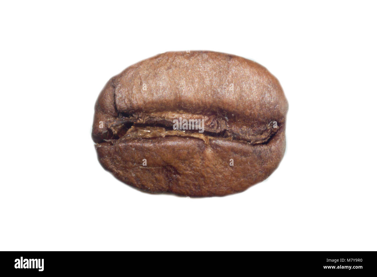 Macro photo of roasted coffee bean. Furrow in the middle. On a white background. Photo for the site about food, drinks, health, business. Stock Photo