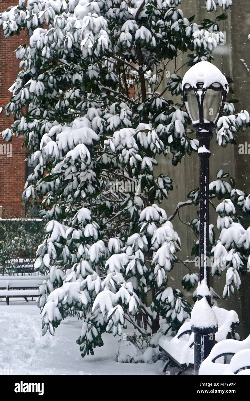 An old-fashioned street lamp, plants, and benches covered in snow in a ...