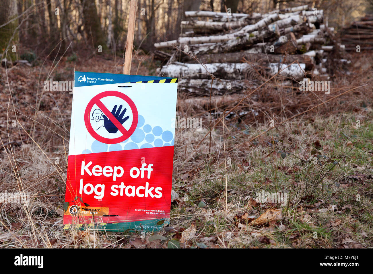Sign warning of the dangers of large log piles and log stacks. Keep off log stacks! Stock Photo