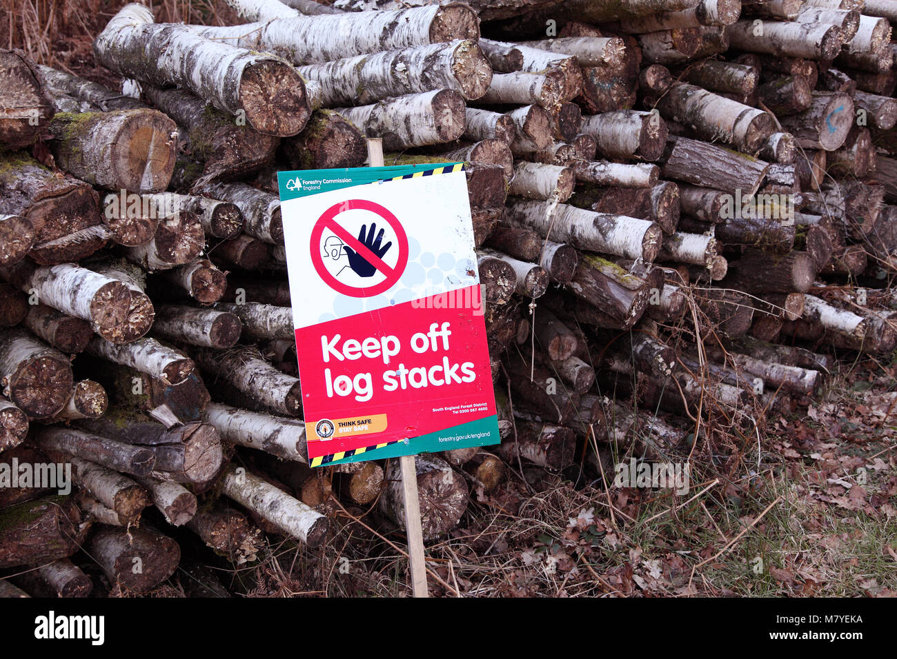 Sign warning of the dangers of large log piles and log stacks. Keep off log stacks! Stock Photo
