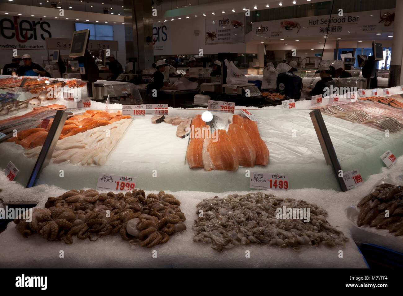 sydney fish market pyrmont sydney new south wales australia Stock Photo