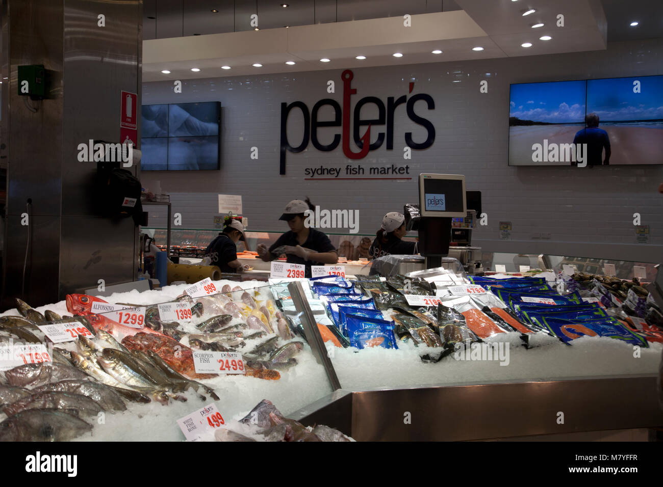 sydney fish market pyrmont sydney new south wales australia Stock Photo