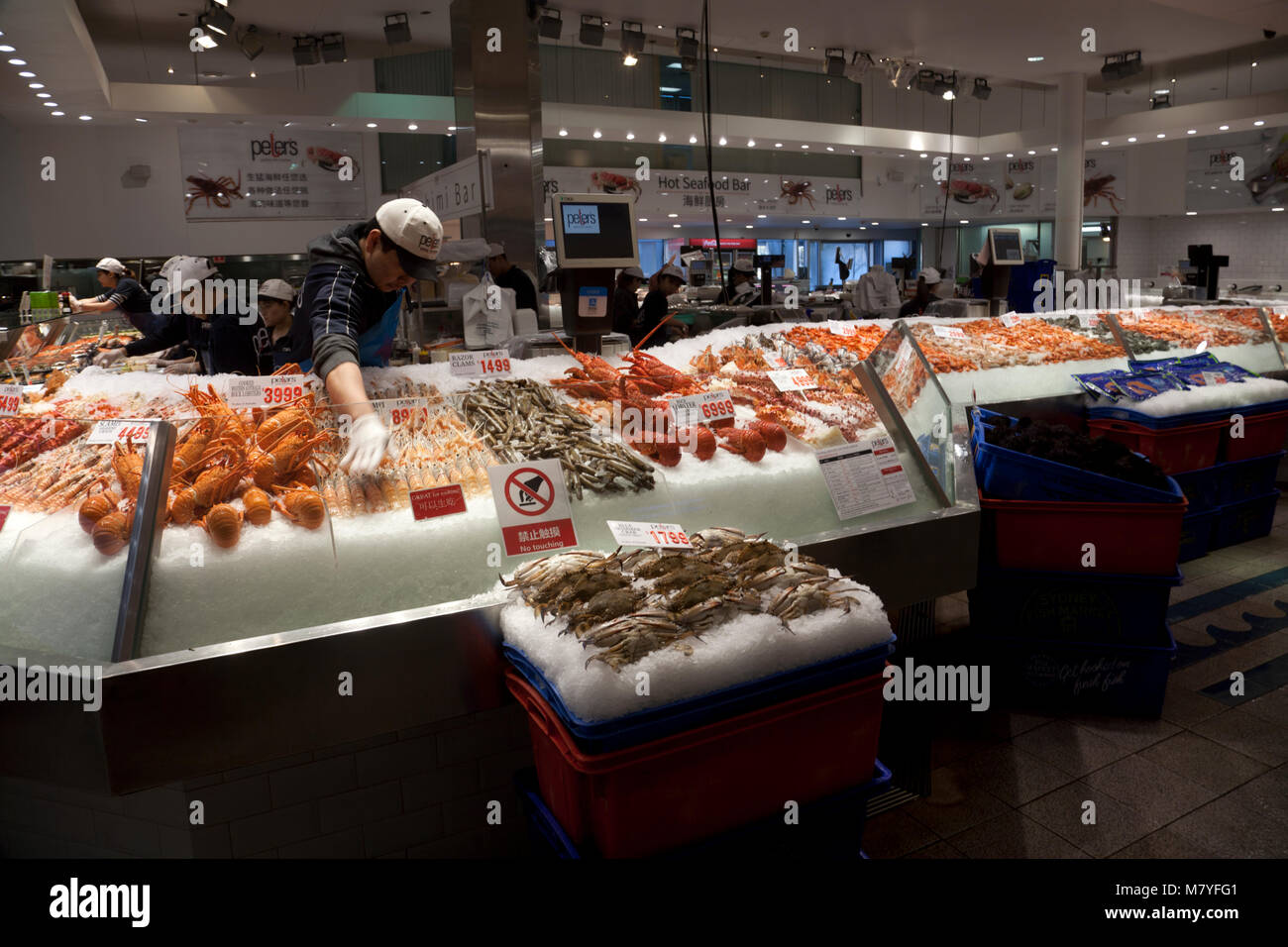 Razor fish australia hires stock photography and images Alamy