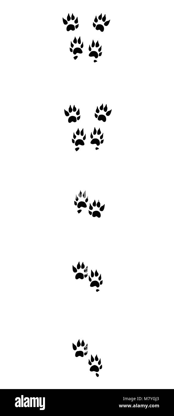 Marten tracks. Typical footprints with long claws - black icon illustration on white background. Stock Photo