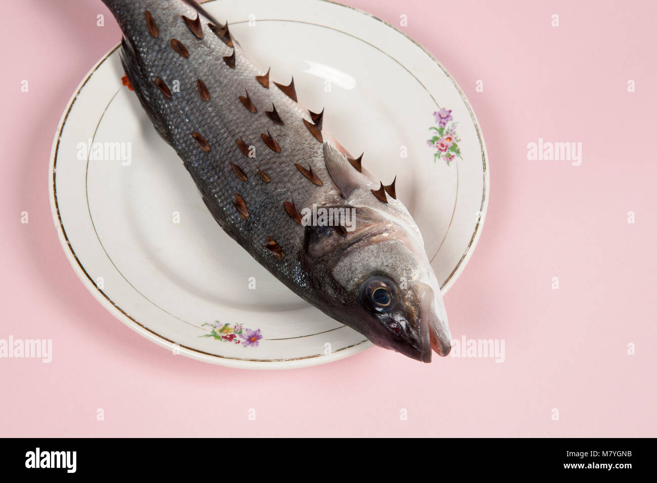 A bass fish with rosebush, thorns in a flower plate hidden on a vibrant ...