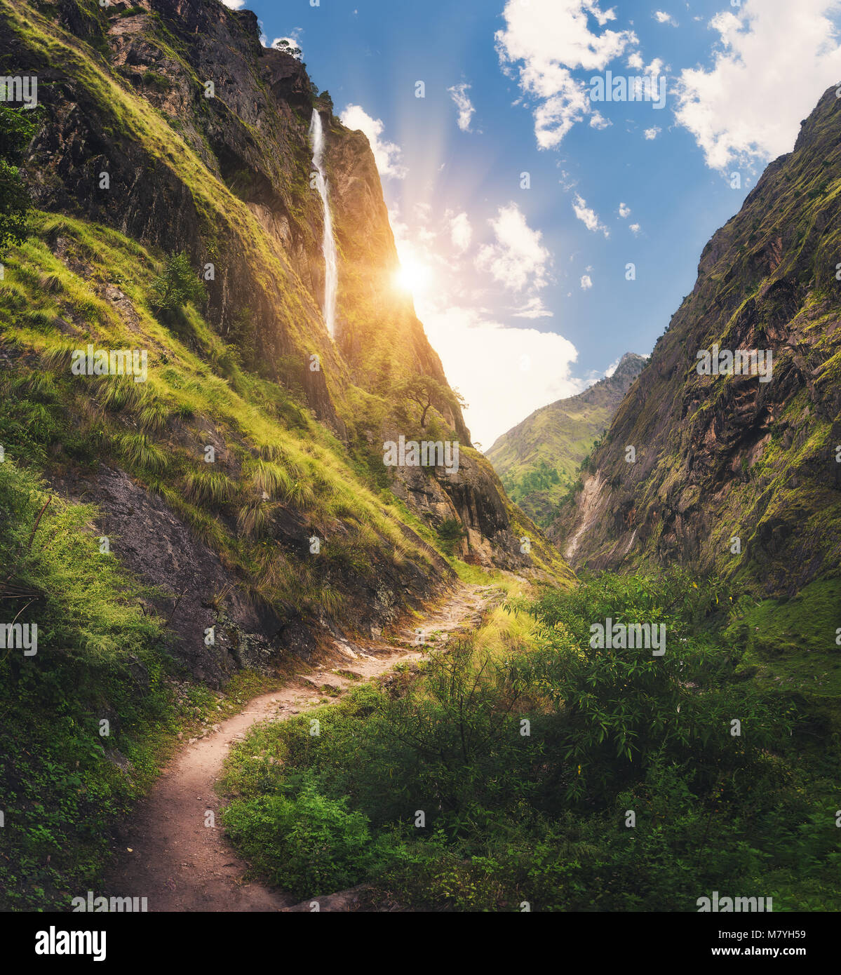 Amazing Himalayan mountains covered green grass, high waterfall, beautiful path, green trees, blue sky with yellow sun and clouds in Nepal at sunset.  Stock Photo