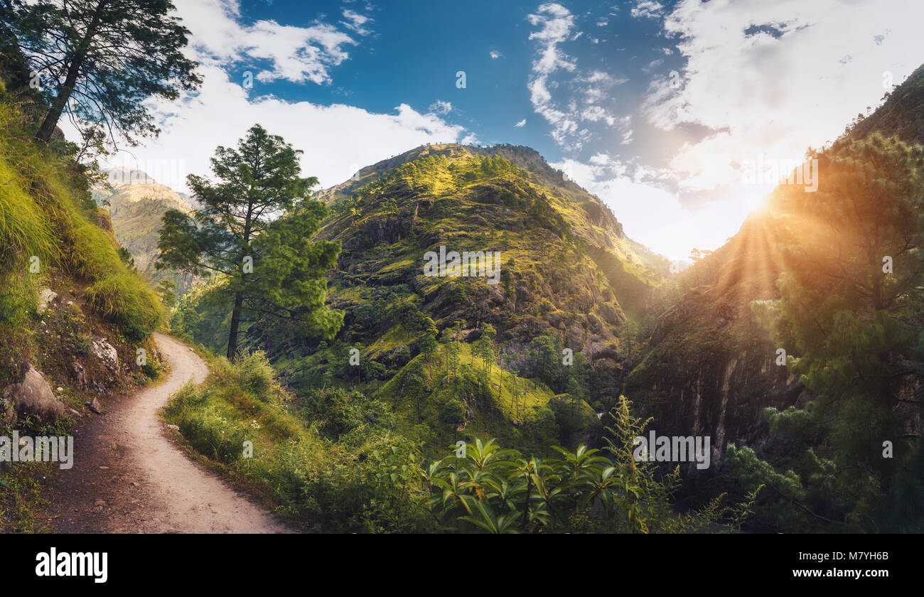 Amazing scene with Himalayan mountains covered green grass and trees, blue cloudy sky with sun, clouds and beautiful path in Nepal at sunset. Panorami Stock Photo