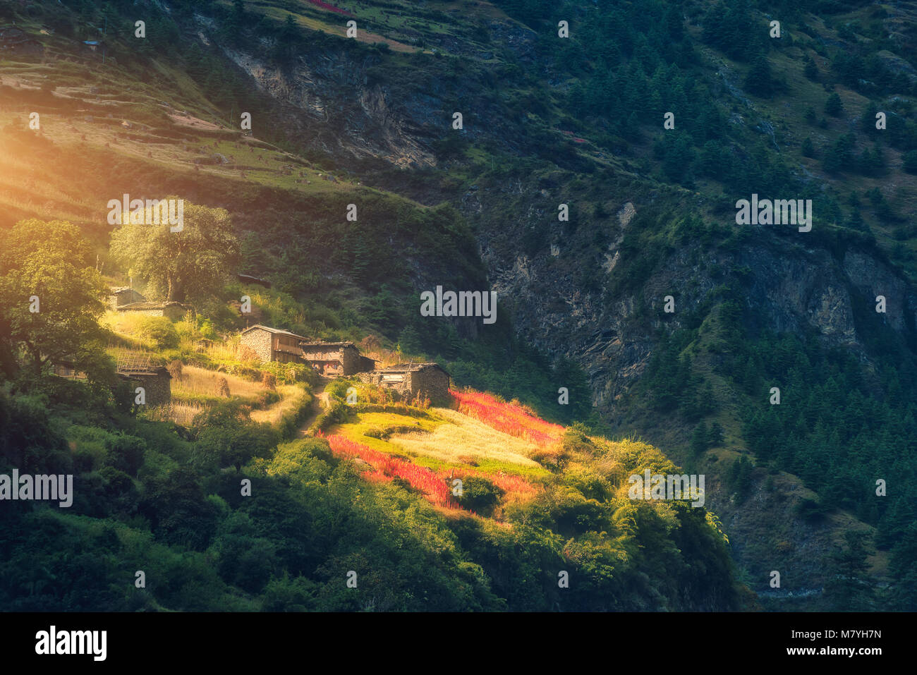 Small village on the hill lighted by a sunbeam at sunset. Fairy scene with houses, gardens with red flowers and trees, trail and mountain with green f Stock Photo