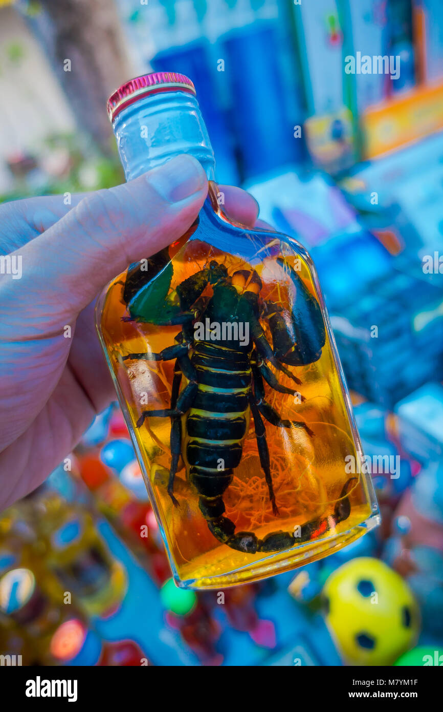 Close up of scorpion animal inside of Whiskey flask prepared by locals