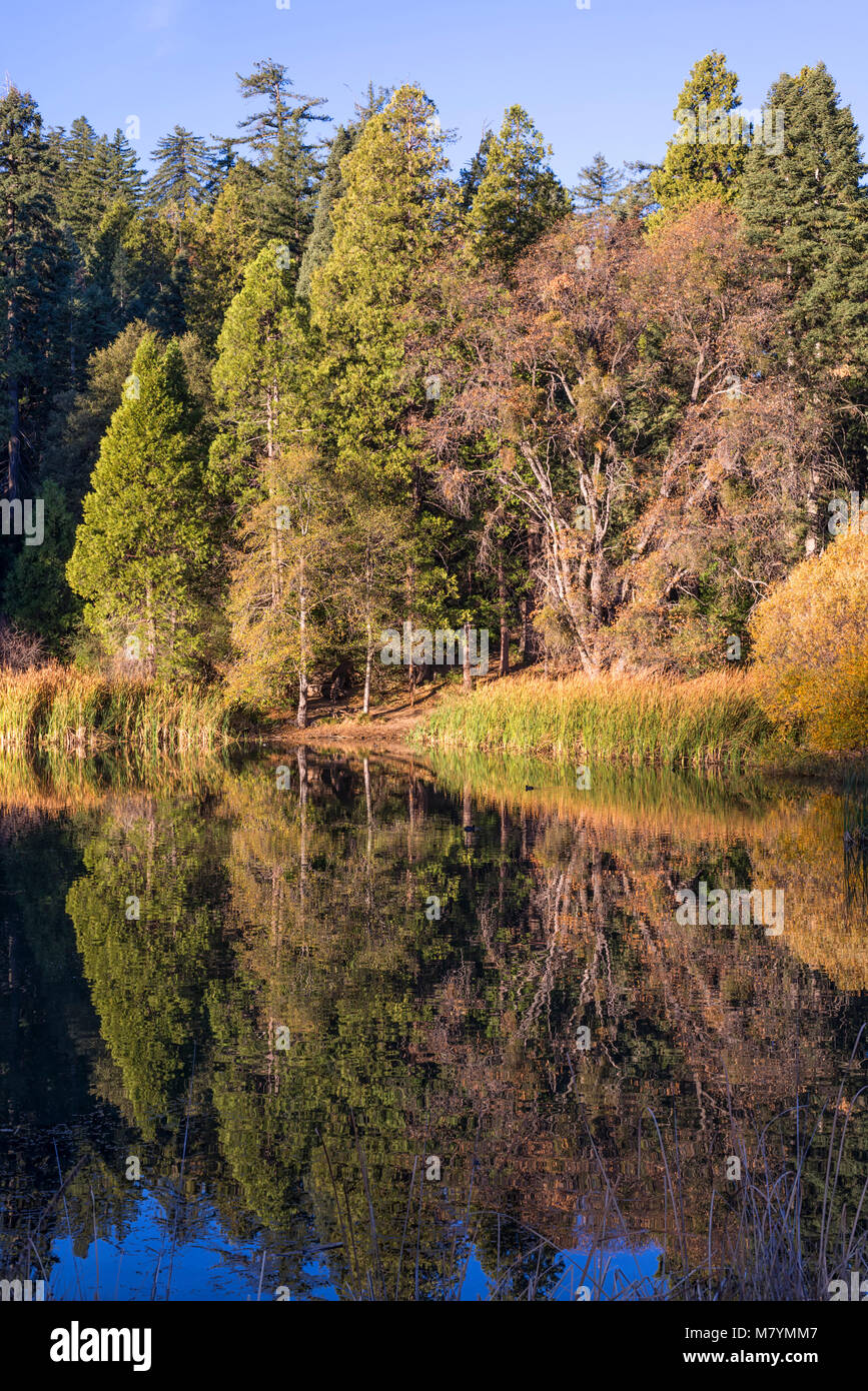 Doane Pond on an Autumn morning. Palomar Mountain State Park, San Diego