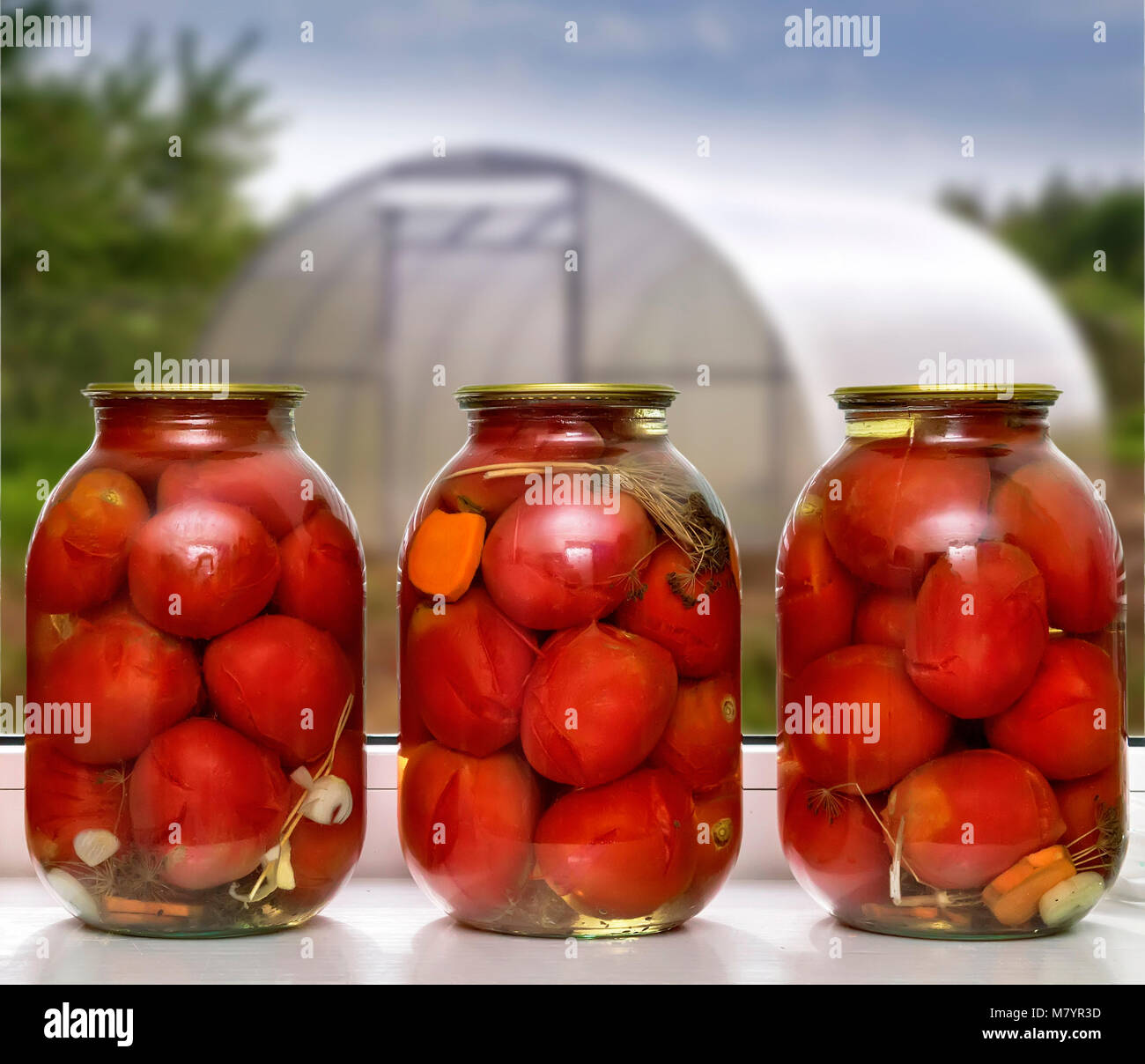 Canned tomatoes in large glass jars Stock Photo Alamy