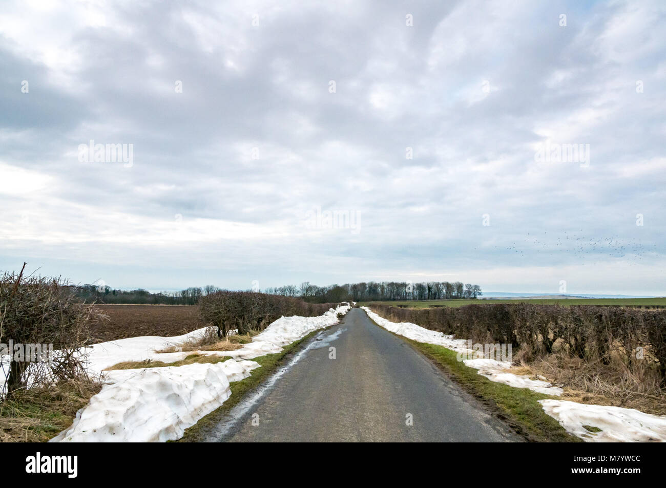 East Lothian, Scotland, United Kingdom, 13th March 2018. UK Weather: Snow banks at the side of a small straight country road remain after the nicknamed ' Beast from the East' arctic weather event, indicative of the extent and depth of the snow that fell Stock Photo