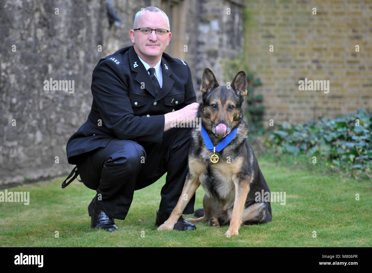 Pdsa gold medal hi-res stock photography and images - Alamy