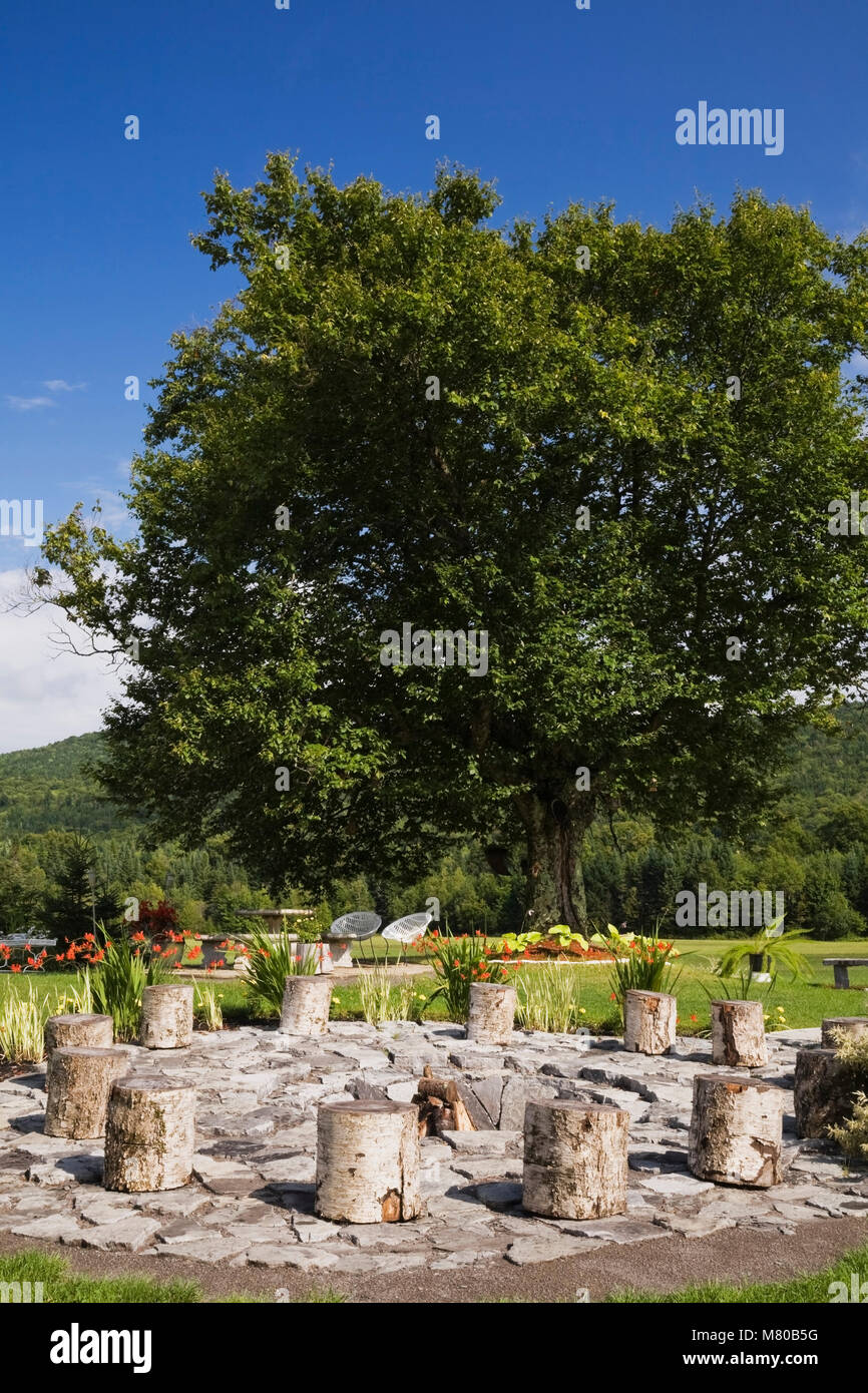 Birch tree stumps in a circle around a firepit in a landscaped residential backyard garden in summer. Stock Photo