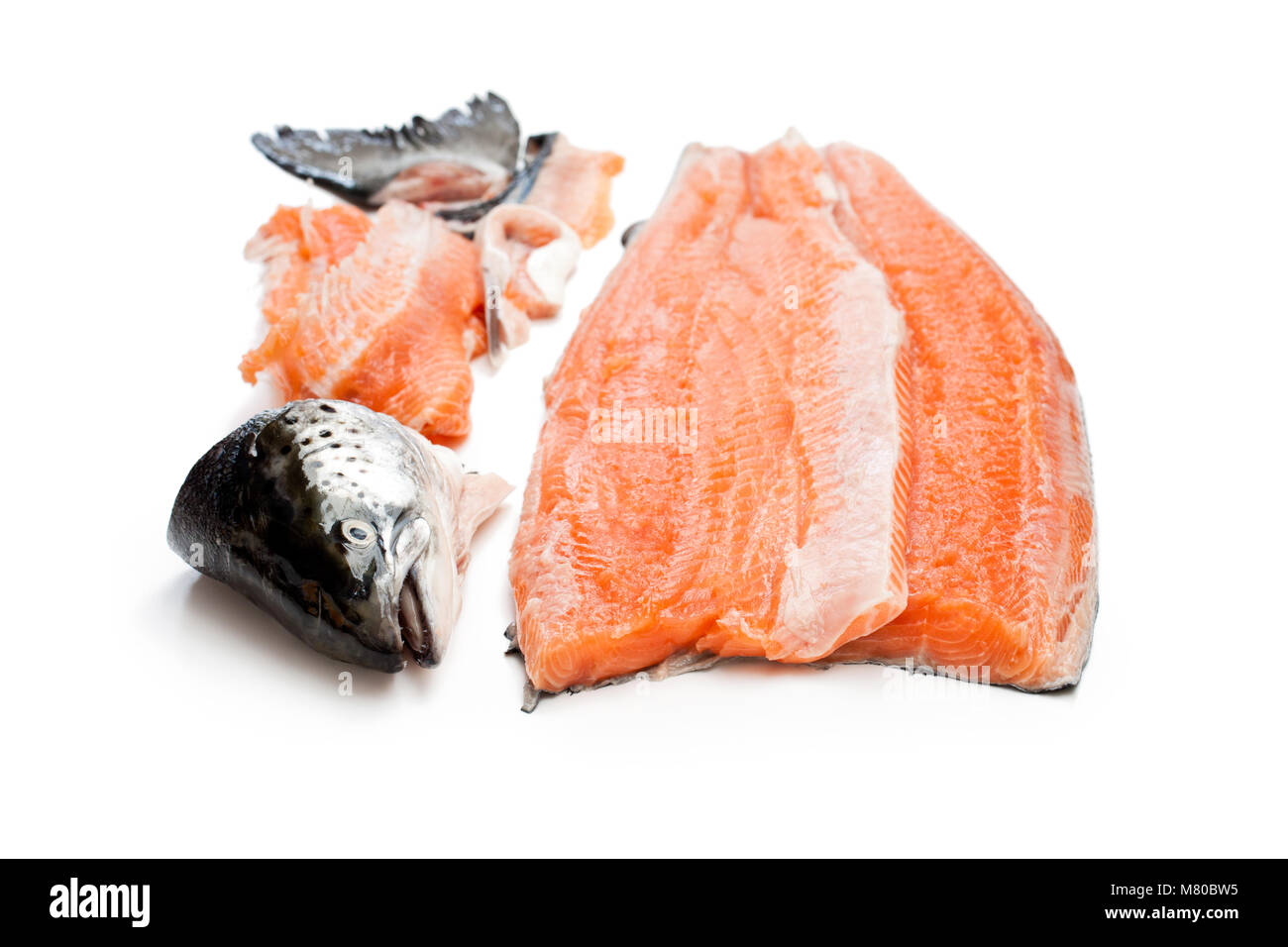 salmon fillet with head and bones isolated on white background Stock