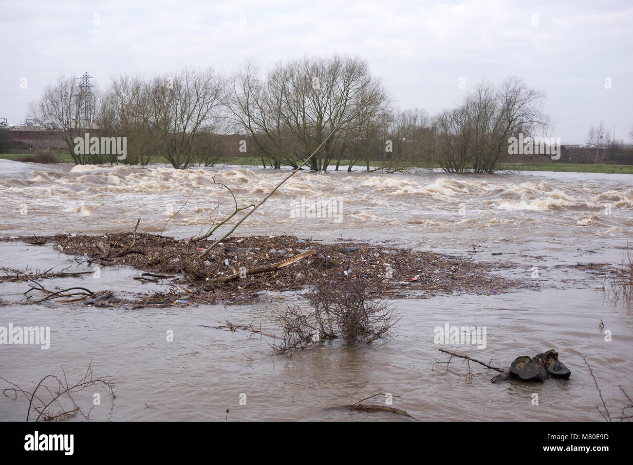 Flood debris washed up on the River Trent near Sawley, Derbyshire, UK
