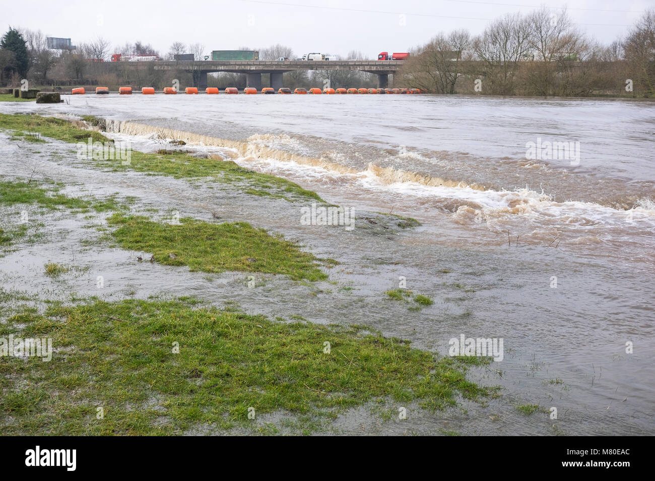 Flooding on the River Trent near Sawley, Derbyshire, UK Stock Photo