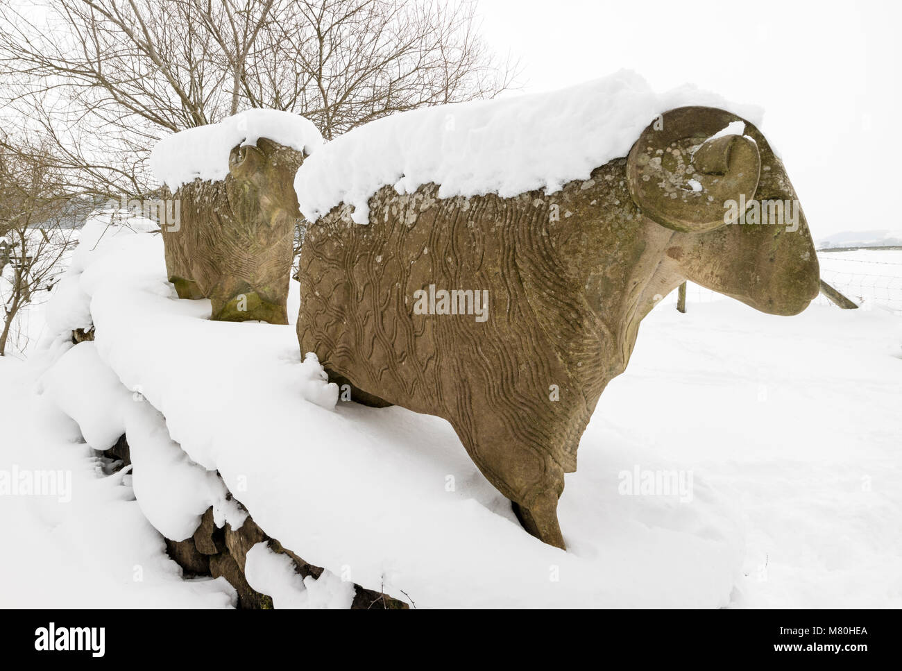Stone Sheep Sculptures Created by Keith Alexander on the Pennine Way