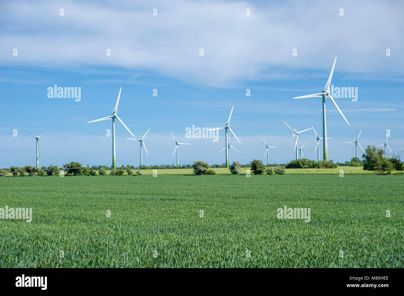 Wind farm near Vadersdorf, Fehmarn, Baltic Sea, Schleswig-Holstein, Germany, Europe Stock Photo