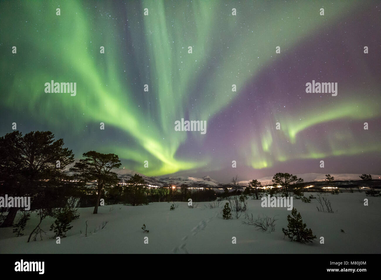 aurora-borealis-northern-lights-active-coloured-curtains-move-across