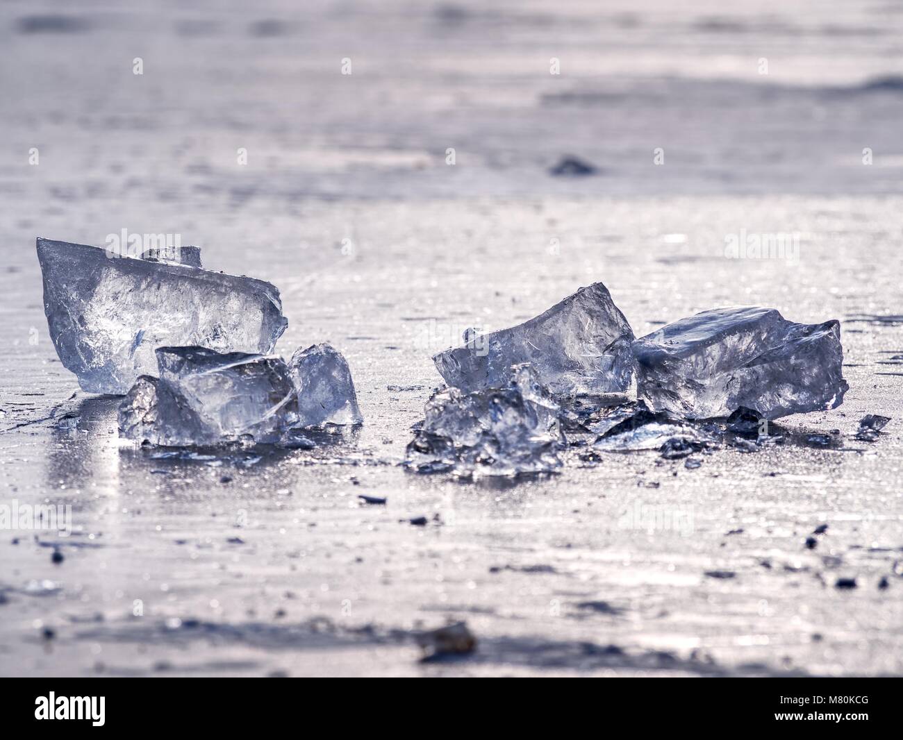 Shining shards of broken ice. Abstract still life of ice floes on lavel of frozen lake. Stock Photo