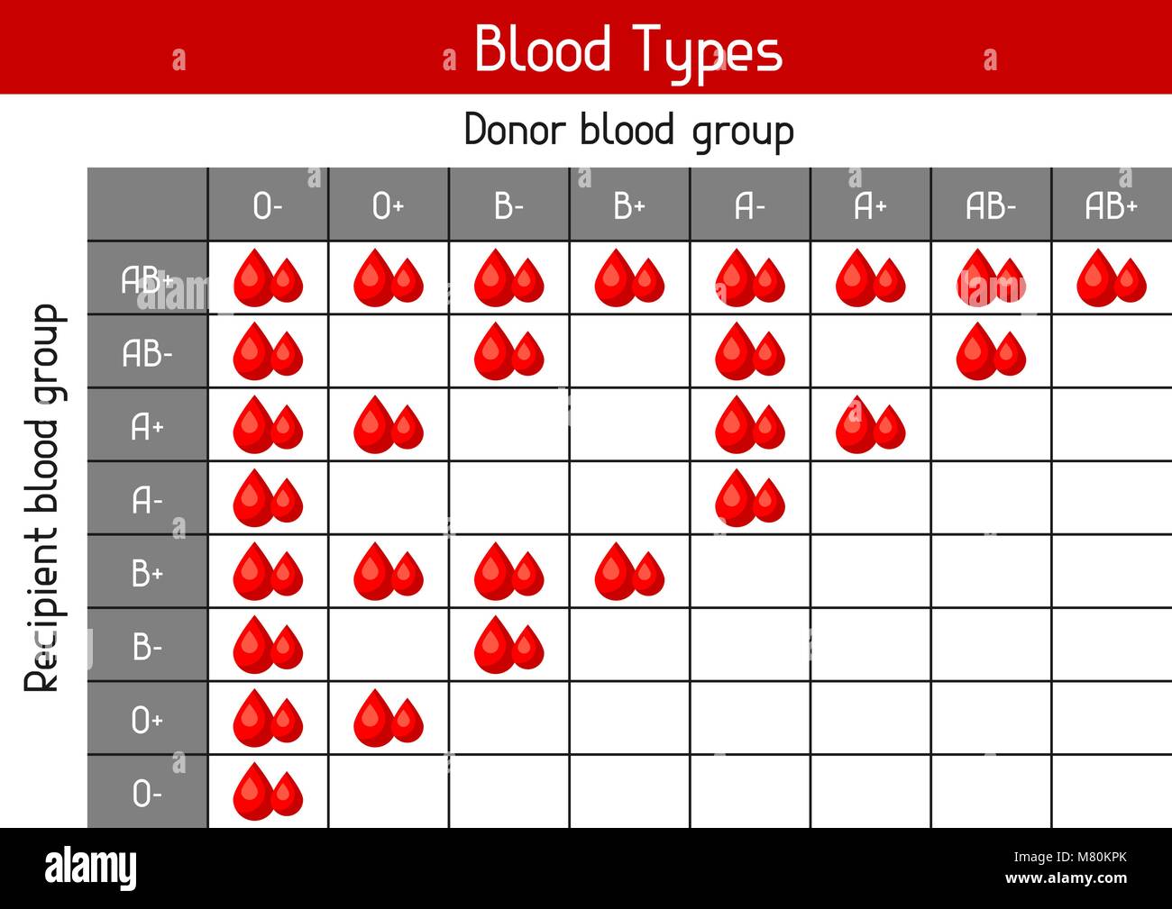 Blood Type Recipient Chart