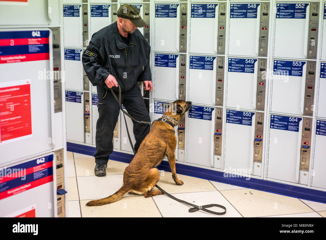 training of the police dog, Central Station Bavaria Nürnberg Hauptbahnhof, Nuremberg, Germany, Europe. Stock Photo