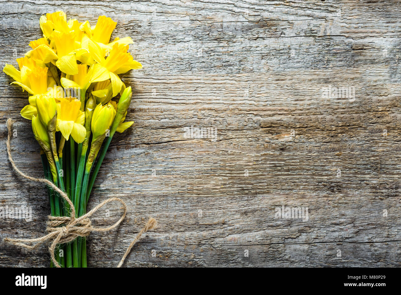 Spring backgrounds, easter daffodils on wood Stock Photo