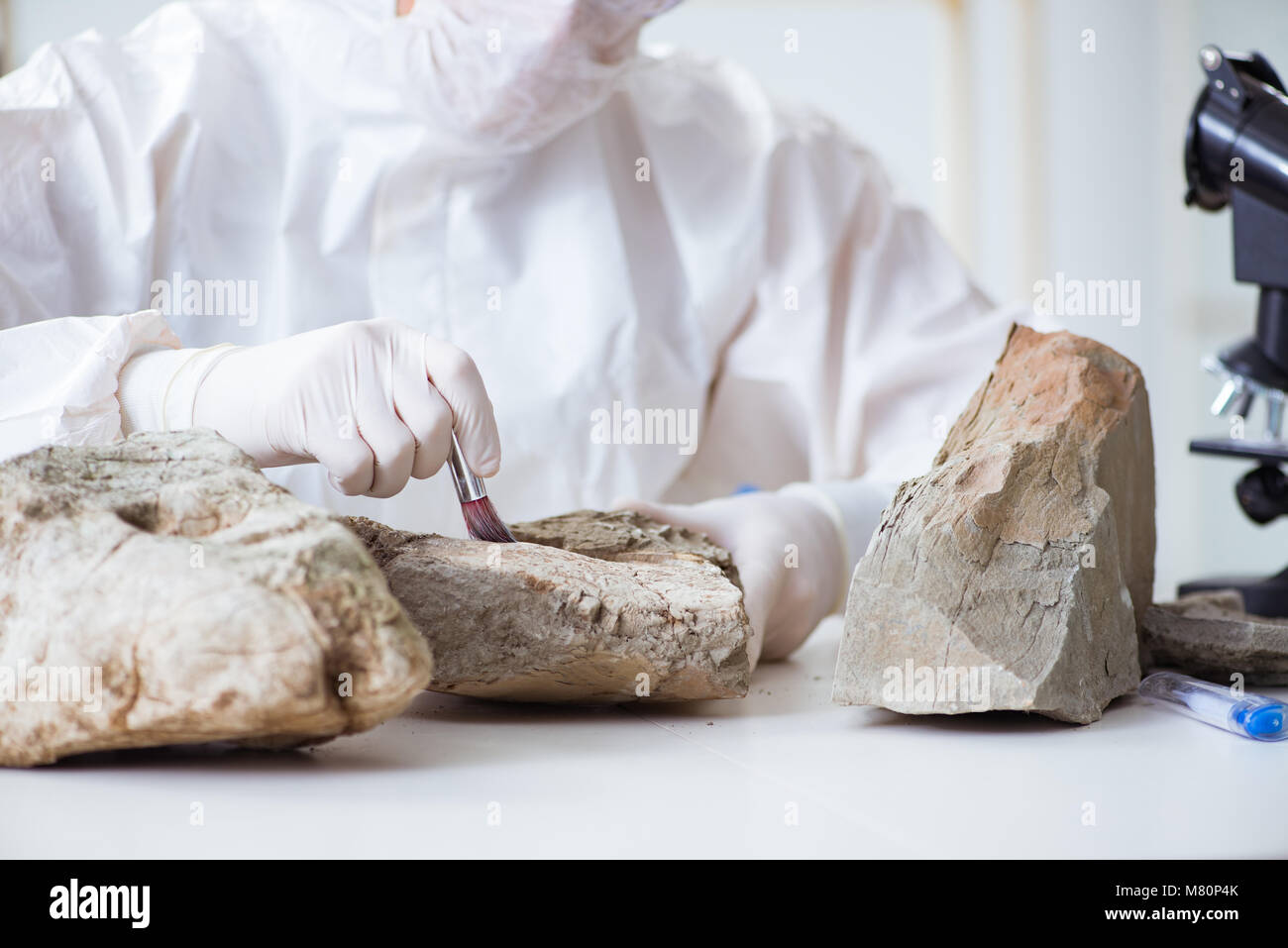Scientist looking and stone samples in lab Stock Photo - Alamy