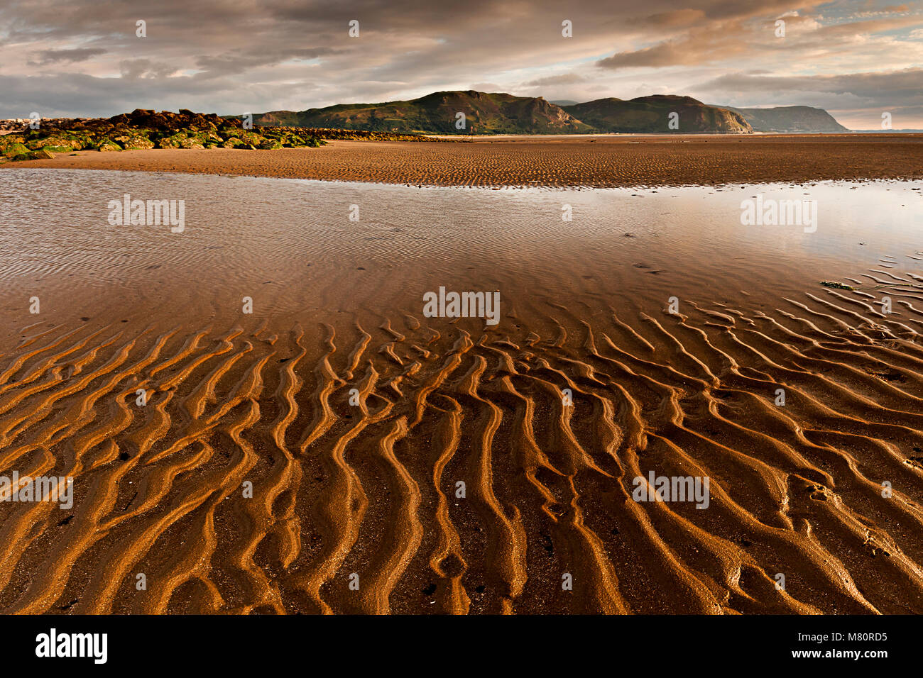 Ripples in the sand at Llandudno West Shore beach, North Wales coast Stock Photo